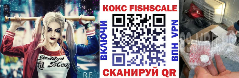 COCAIN Fish Scale Купить закладки Мичуринск