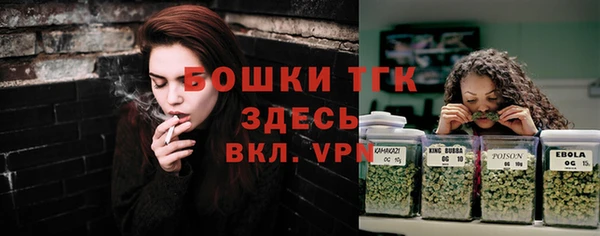 индика Зеленодольск