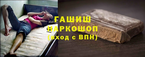 индика Зеленодольск