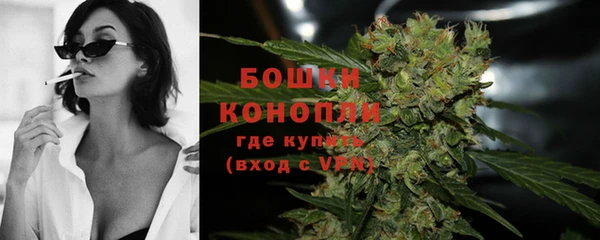 индика Зеленодольск