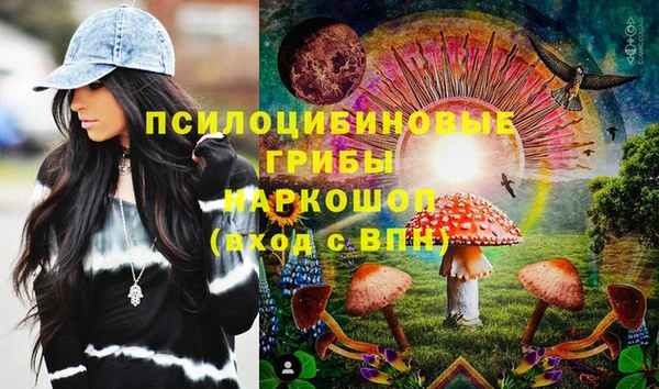 индика Зеленодольск