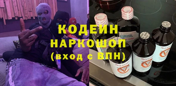 индика Зеленодольск