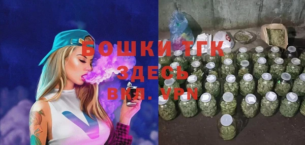 индика Зеленодольск
