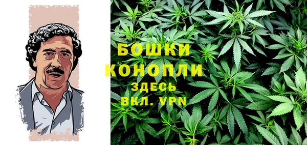 индика Зеленодольск