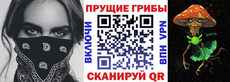 Галлюциногенные грибы Psilocybine cubensis  Купить закладки  Мичуринск 